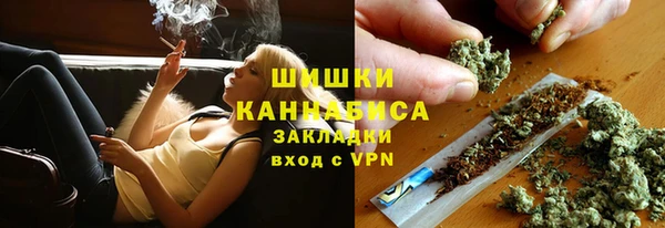 прущие грибы Лиски